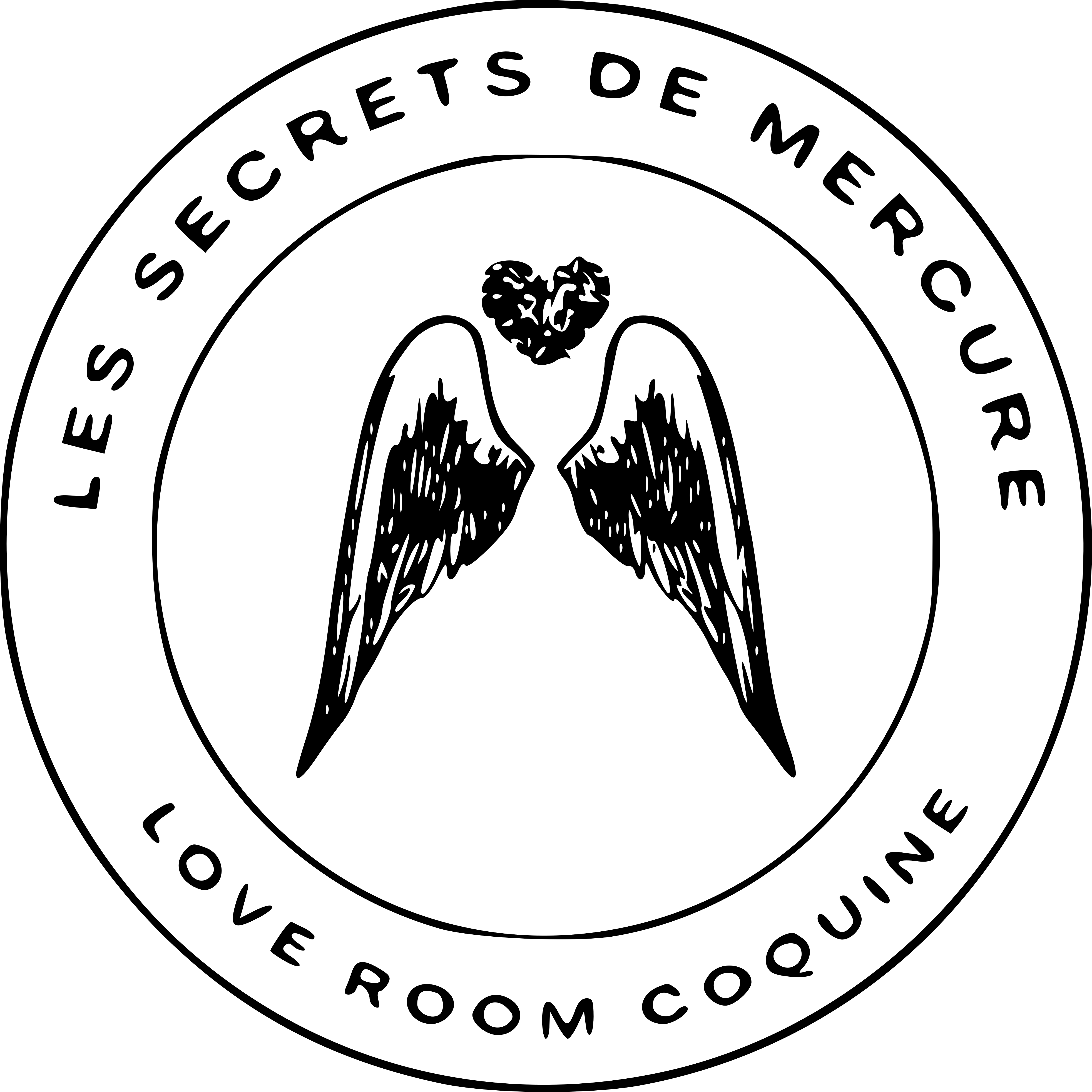 Logo les secrets de mercure love room en vendée